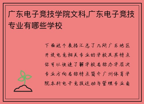 广东电子竞技学院文科,广东电子竞技专业有哪些学校